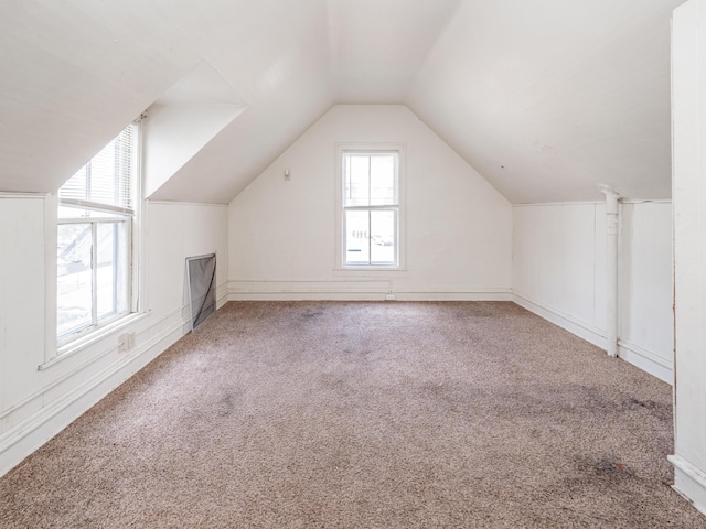 130 W Dutton St, Kalamazoo, MI 49007 - additional living space with carpet and lofted ceiling