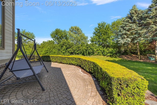 13815 Silent Woods Dr, Shelby Twp, MI 48315 - view of patio