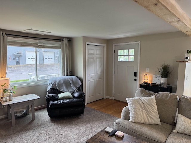 227 Mckinley Rd, Flushing, MI 48433 - living room featuring wood finished floors and baseboards
