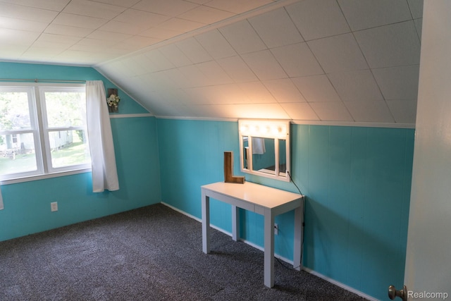 1247 Catalina Dr, Flint, MI 48507 - bonus room featuring carpet and vaulted ceiling