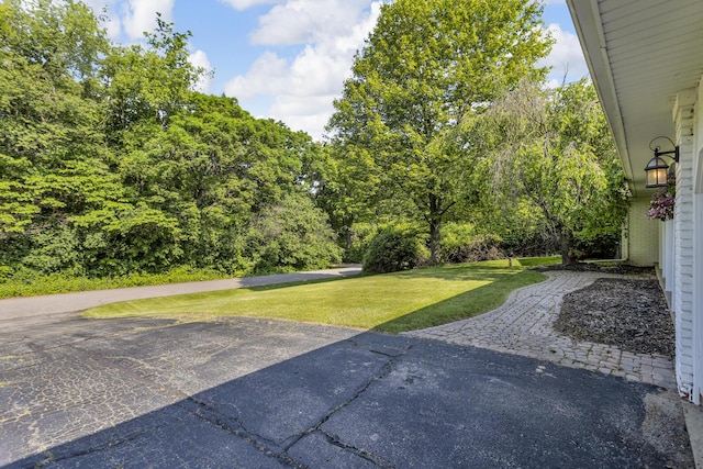 5345 Squires Manor Rd, Jackson, MI 49201 - photo 4