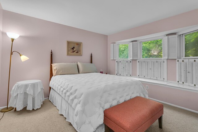 5345 Squires Manor Rd, Jackson, MI 49201 - photo 48