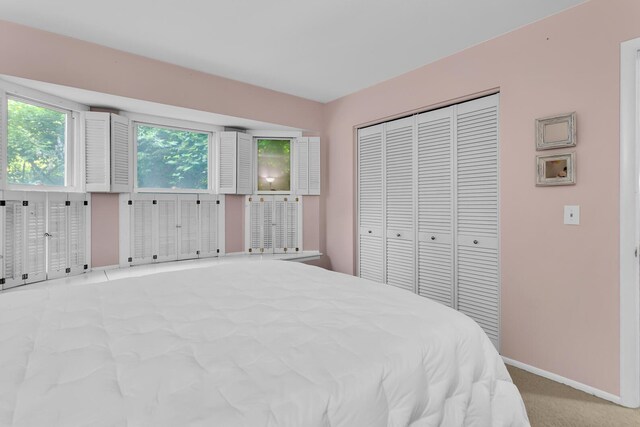 5345 Squires Manor Rd, Jackson, MI 49201 - photo 49