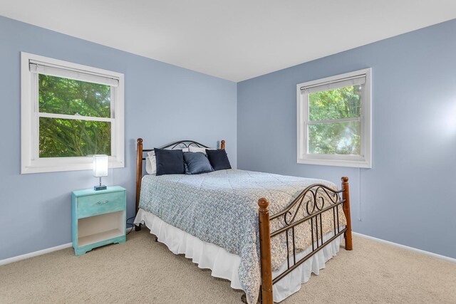 5345 Squires Manor Rd, Jackson, MI 49201 - photo 51