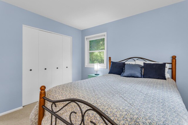 5345 Squires Manor Rd, Jackson, MI 49201 - photo 52
