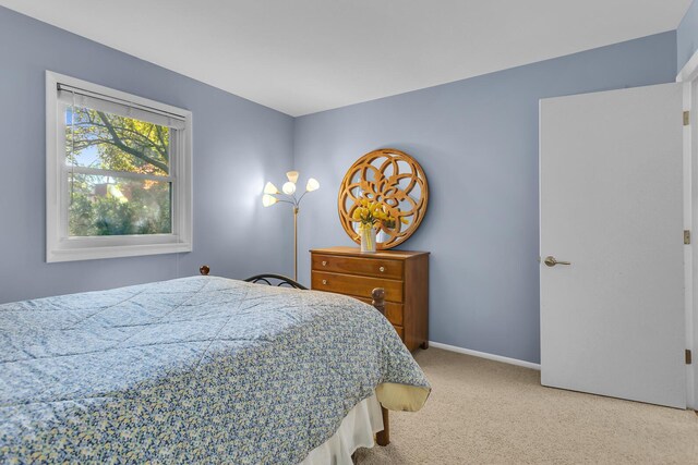 5345 Squires Manor Rd, Jackson, MI 49201 - photo 53