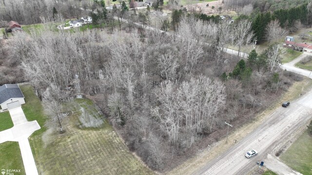 0040 N Mill Rd, Dryden, MI 48428