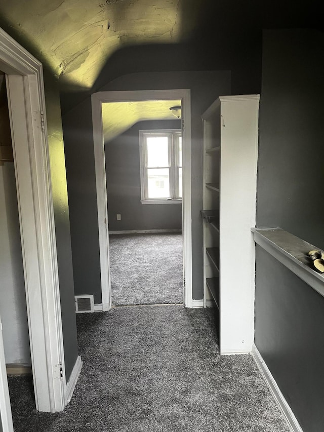 19188 Pelkey St, Detroit, MI 48205 - corridor with carpet floors, lofted ceiling, and baseboards