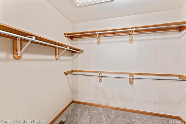 751 River Edge Ct, Flushing, MI 48433 - walk in closet with carpet floors