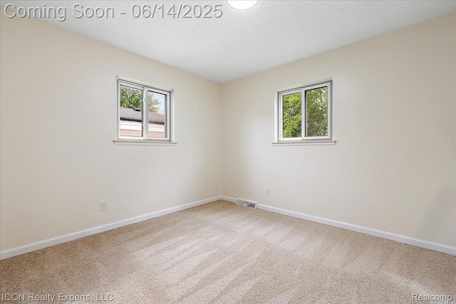 2570 Tarry Dr, Macomb, MI 48310 - spare room featuring plenty of natural light, carpet floors, baseboards, and a textured ceiling