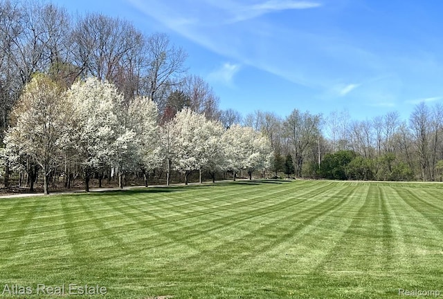 5415 Walker Rd, Davison, MI 48423 - view of home's community with a lawn and view of scattered trees