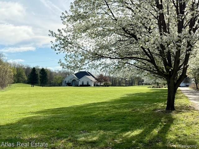5415 Walker Rd, Davison, MI 48423 - view of grassy yard
