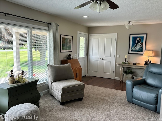 250 N Decker Rd, Snover, MI 48727 - sitting room featuring ceiling fan, baseboards, wood finished floors, and a textured ceiling
