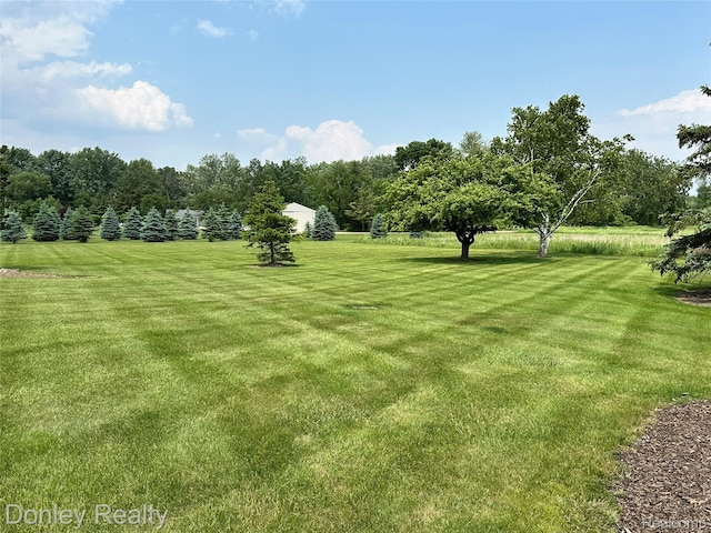 250 N Decker Rd, Snover, MI 48727 - view of grassy yard