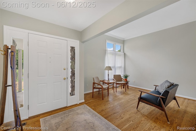 11213 Youngstree Ct, Davisburg, MI 48350 - foyer entrance featuring baseboards, wood finished floors, and ornamental molding