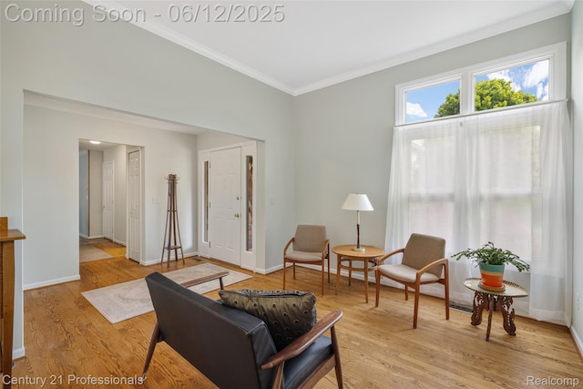 11213 Youngstree Ct, Davisburg, MI 48350 - living area featuring crown molding, light wood-type flooring, and baseboards