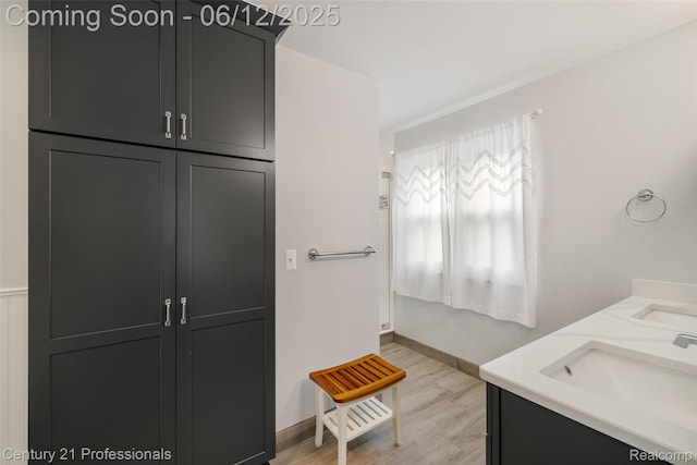 11213 Youngstree Ct, Davisburg, MI 48350 - bathroom featuring wood finished floors and double vanity