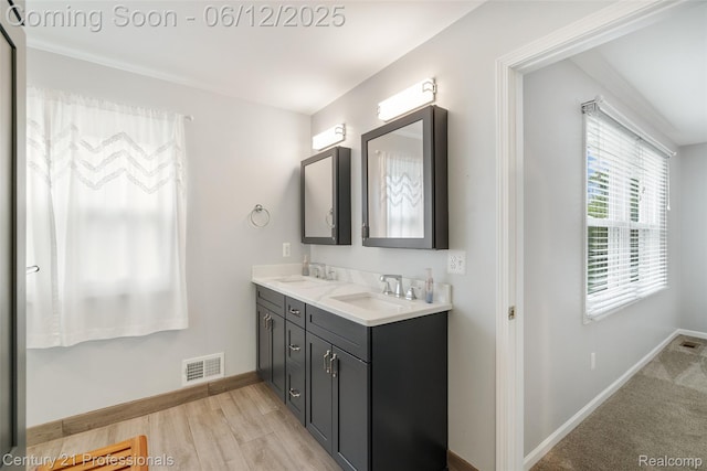 11213 Youngstree Ct, Davisburg, MI 48350 - full bathroom featuring double vanity and baseboards