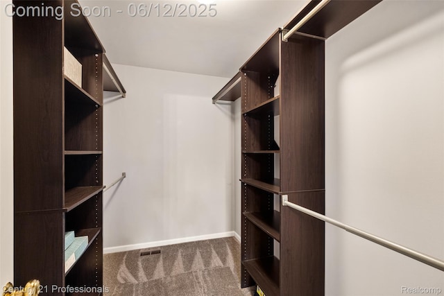 11213 Youngstree Ct, Davisburg, MI 48350 - spacious closet with carpet floors