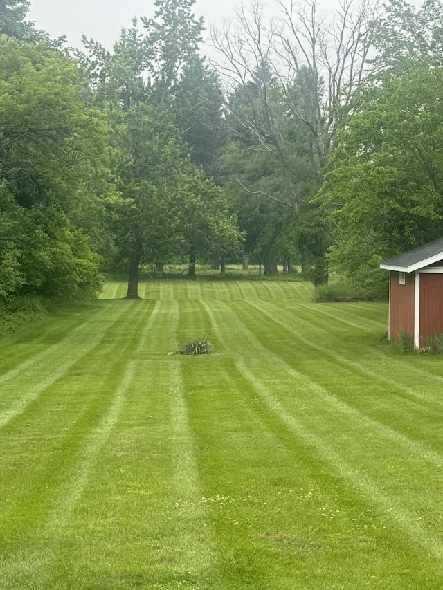 829 S Union St, Tecumseh, MI 49286 - view of grassy yard