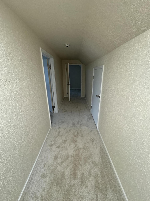829 S Union St, Tecumseh, MI 49286 - view of hallway