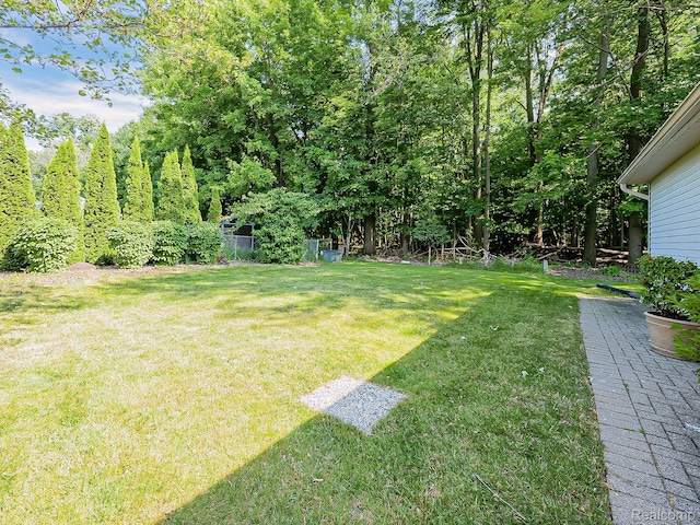 19394 Ingram Dr, Shelby Twp, MI 48038 - view of yard