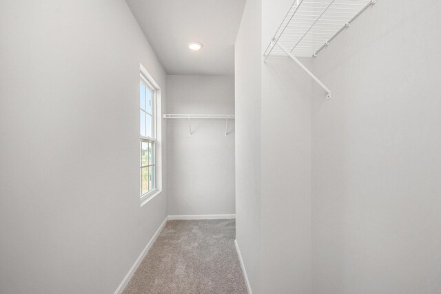 13747 Oasis Ave, Holland, MI 49424 - photo 19
