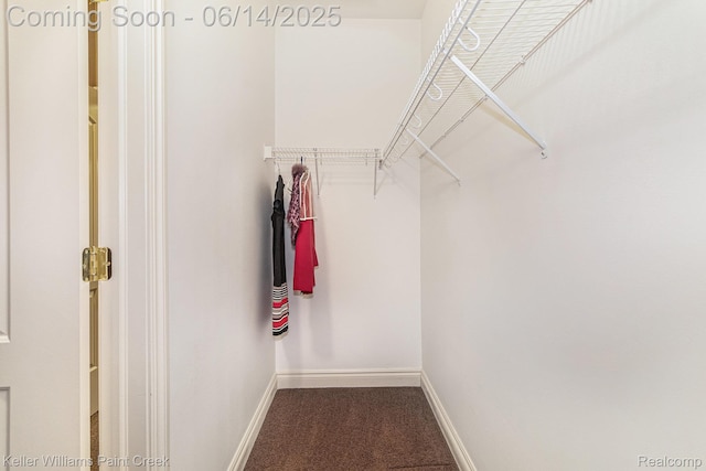 50021 Ludwig Ct, Shelby Twp, MI 48317 - walk in closet featuring carpet floors