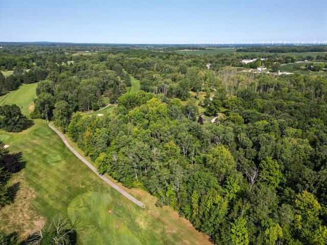 3690 Saint Andrews Dr, Mount Pleasant, MI 48858 - photo 42