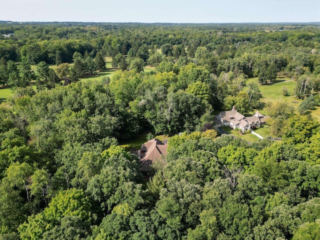 3690 Saint Andrews Dr, Mount Pleasant, MI 48858 - photo 45