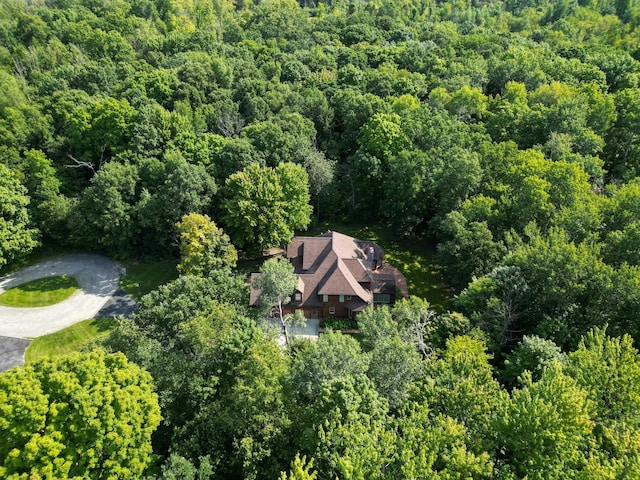 3690 Saint Andrews Dr, Mount Pleasant, MI 48858 - photo 46