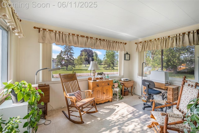 8351 Duffield Rd, Gaines, MI 48436 - sunroom with carpet