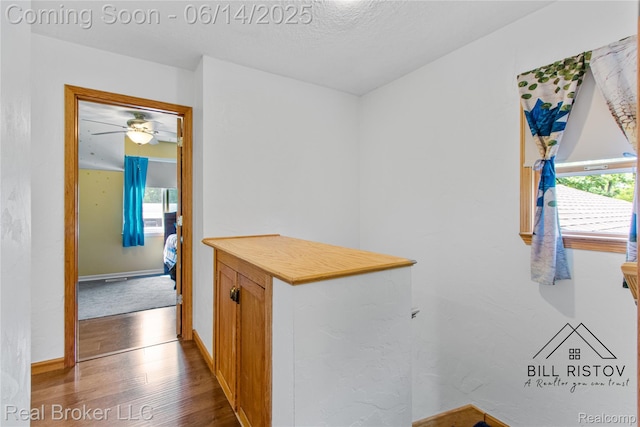 1932 Pageant Way, Holt, MI 48842 - photo 23