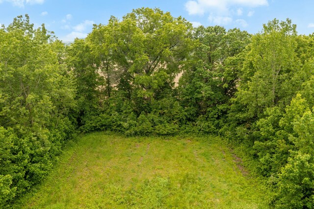 1820 E Rocky Weed Rd, Berrien Springs, MI 49103 - view of wooded area