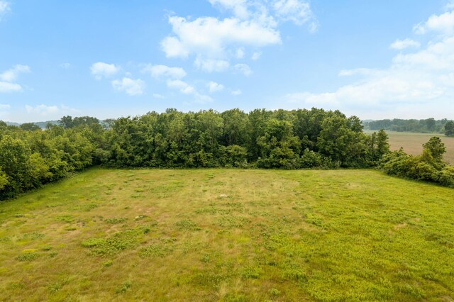 1820 E Rocky Weed Rd, Berrien Springs, MI 49103 - view of green lawn featuring a rural view