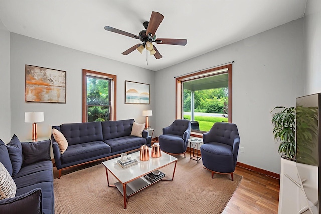 1820 E Rocky Weed Rd, Berrien Springs, MI 49103 - living room with plenty of natural light, wood finished floors, a ceiling fan, and baseboards