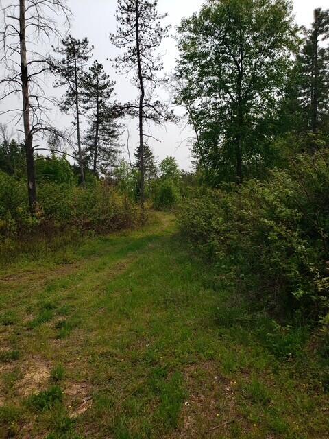 15754 N 10th Ave, Marion, MI 49665 - view of nature