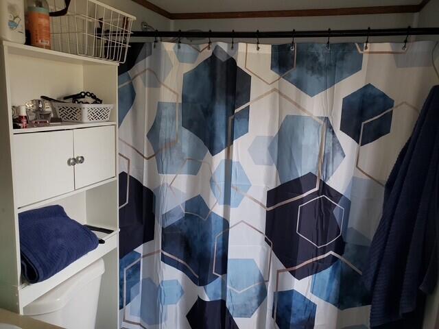 15754 N 10th Ave, Marion, MI 49665 - full bathroom featuring a shower with shower curtain, toilet, and crown molding