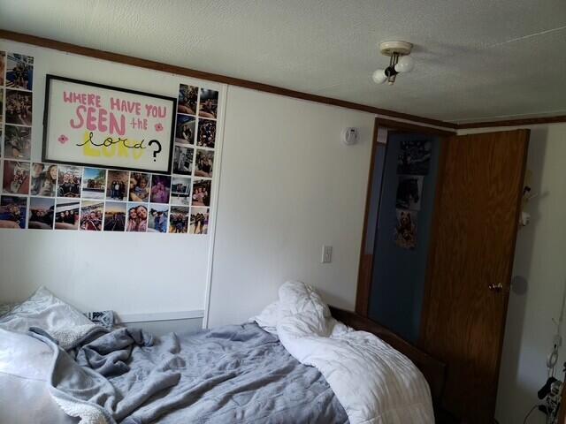 15754 N 10th Ave, Marion, MI 49665 - bedroom with a textured ceiling and ornamental molding