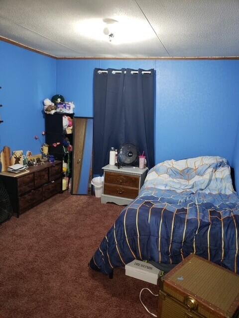 15754 N 10th Ave, Marion, MI 49665 - bedroom with carpet floors