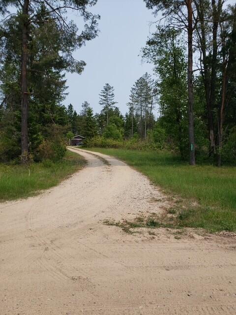15754 N 10th Ave, Marion, MI 49665 - view of street featuring a forest view