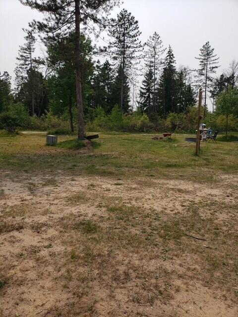 15754 N 10th Ave, Marion, MI 49665 - view of yard