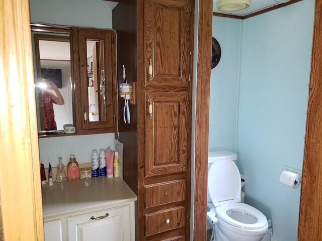 15754 N 10th Ave, Marion, MI 49665 - bathroom with toilet and vanity