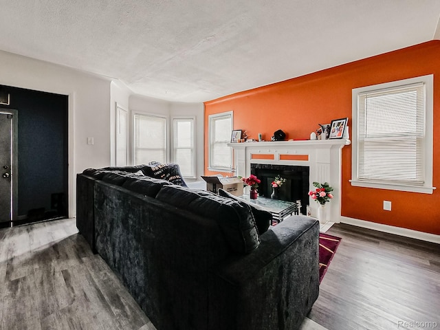 15882 Appoline St, Detroit, MI 48227 - living room with wood finished floors and a fireplace