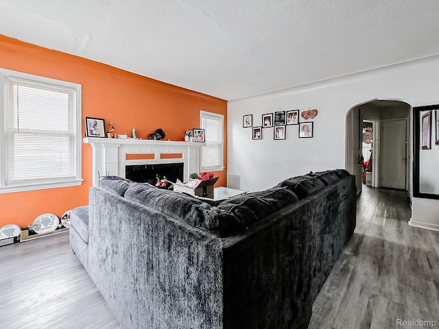 15882 Appoline St, Detroit, MI 48227 - living room featuring wood finished floors, arched walkways, a fireplace, and a textured ceiling