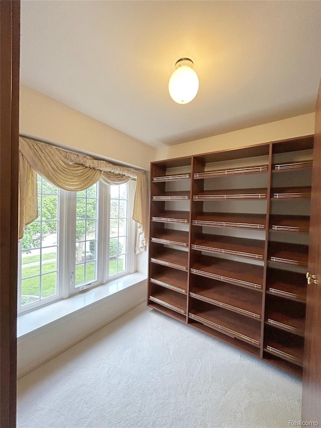 4567 Odette Ct, Troy, MI 48098 - carpeted empty room featuring healthy amount of natural light