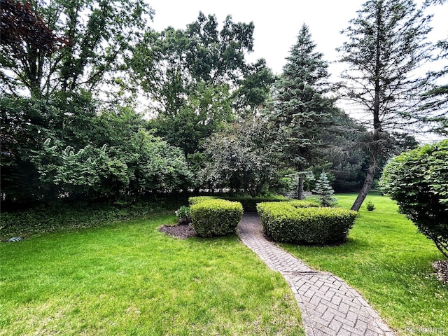 4567 Odette Ct, Troy, MI 48098 - view of green lawn