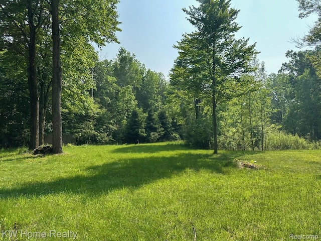 4456 Five Lakes Rd, North Branch, MI 48461 - photo 19