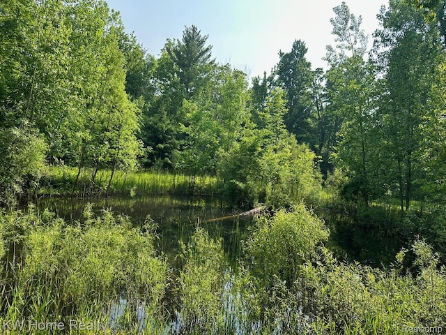 4456 Five Lakes Rd, North Branch, MI 48461 - photo 20