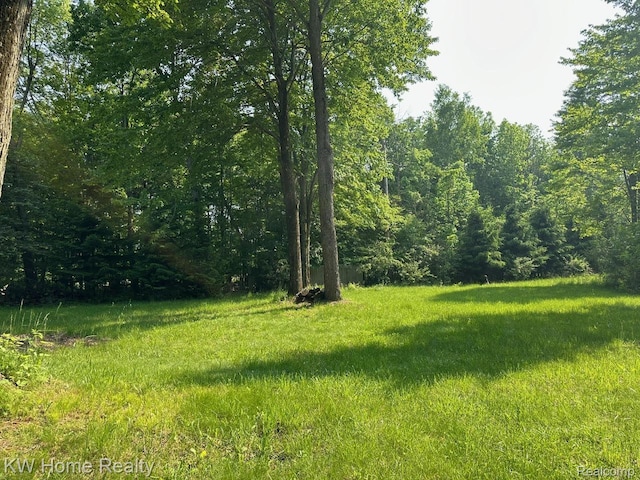 4456 Five Lakes Rd, North Branch, MI 48461 - photo 21